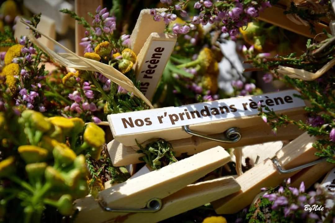 فيلا L'Epicentre Sart-lez-Spa المظهر الخارجي الصورة